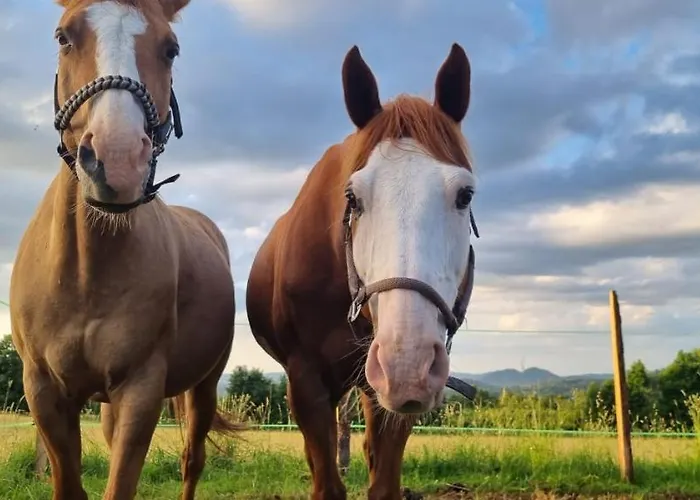 Sloneczna Osada W Gorach Na Wylacznosc Appartamento Kowary